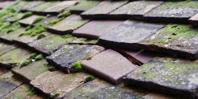 Pant Y Caws roof repair costs